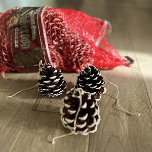 Scented pinecones hand painted snow and string